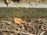 image of grave number 366036
